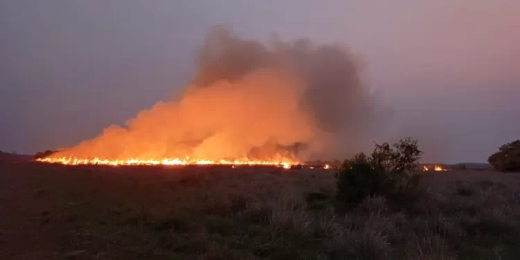 Bomberos llaman a la concientización de la comunidad para evitar incendios de pastizales