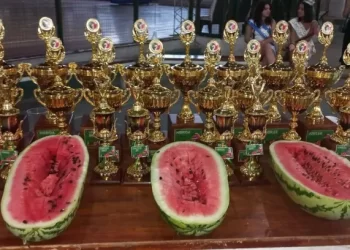 ¡Esquina se prepara para recibir la 52° Fiesta Provincial de la Sandía y la Producción! 🍉🎉