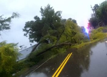 Postes y árboles caídos tras fuerte tormenta en la Ciudad de Esquina