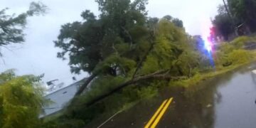 Postes y árboles caídos tras fuerte tormenta en la Ciudad de Esquina