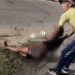 Terrible accidente entre dos motos provocó que una joven pierda el brazo