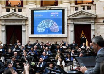“Hay que poner un límite a los DNU, no podemos abusar de esto”