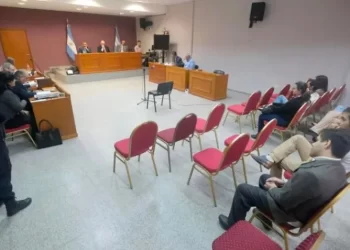 Muerte de un nene por pesticidas: confirman condena al productor agropecuario