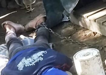 Salta: rescataron a una mujer encadenada en la cucha de un perro