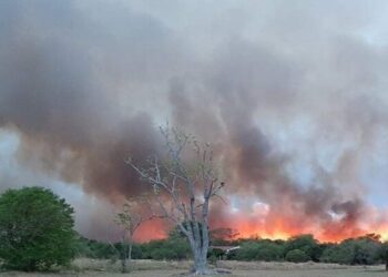 Calor y baja humedad en Corrientes: alertan por incendios