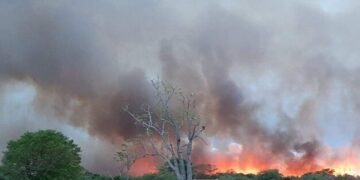 Calor y baja humedad en Corrientes: alertan por incendios
