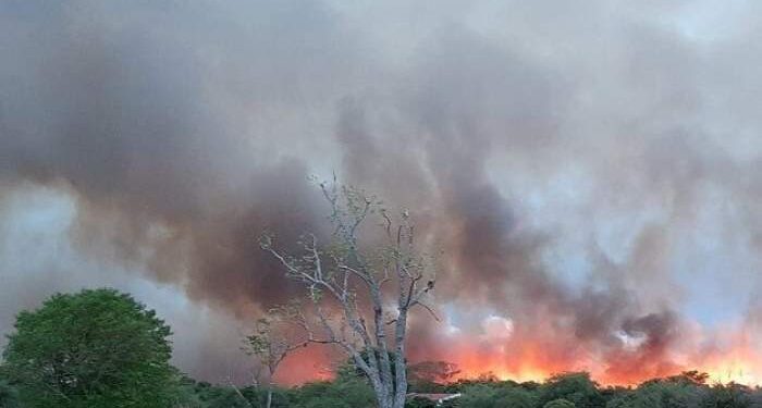 Calor y baja humedad en Corrientes: alertan por incendios