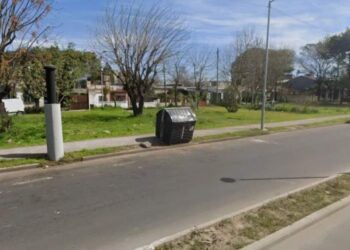 Encontraron seis fetos dentro de un contenedor de basura