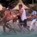 Tragedia en Perugorría: joven de 18 años se ahogó en un balneario
