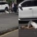 Villa Madero: un jubilado abatió a un delincuente de 15 años