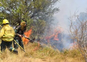 Incendios en Curuzú y Perugorría: hay cuatro personas implicadas