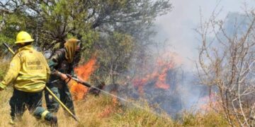 Incendios en Curuzú y Perugorría: hay cuatro personas implicadas