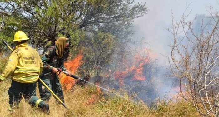 Incendios en Curuzú y Perugorría: hay cuatro personas implicadas