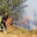 Incendios en Curuzú y Perugorría: hay cuatro personas implicadas