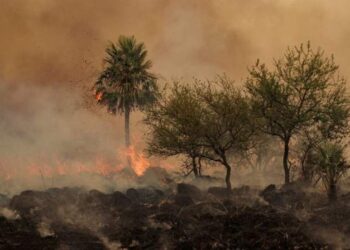 Nación anunció un proyecto para agravar la pena a quienes provoquen incendios