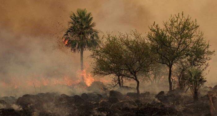 Nación anunció un proyecto para agravar la pena a quienes provoquen incendios