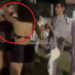 Mujeres a las piñas: una tremenda pelea quedó registrada en video