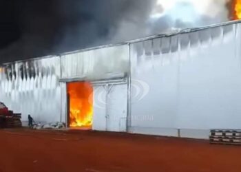 Fuego en Playadito: “Se quemaron 3 millones de kilos de yerba”