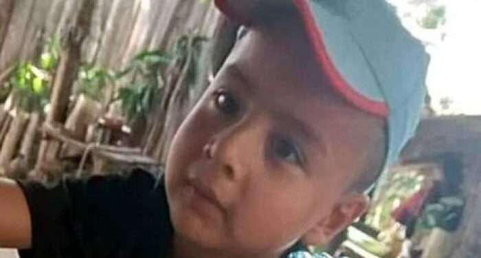 Caso Loan: la Justicia hará una comparación con el ADN reconstruido