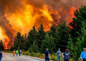 El Gobierno envió al Congreso un proyecto para agravar penas por incendios