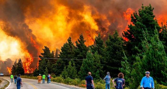 El Gobierno envió al Congreso un proyecto para agravar penas por incendios