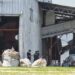 Rosario: encontraron el cuerpo de un bebé en una planta de residuos