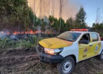 Incendios: más de 94.000 hectáreas consumidas en lo que va del año