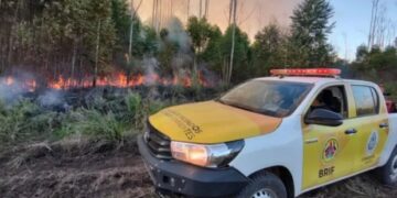 Incendios: más de 94.000 hectáreas consumidas en lo que va del año