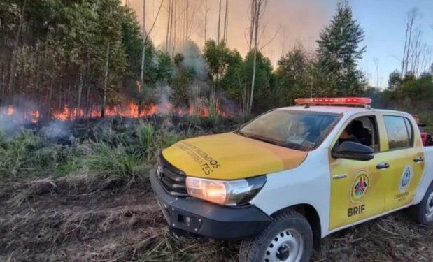 Incendios: más de 94.000 hectáreas consumidas en lo que va del año