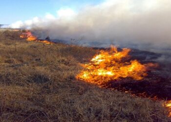 Una mujer murió tras sufrir graves quemaduras al intentar apagar un incendio en un campo de Corrientes