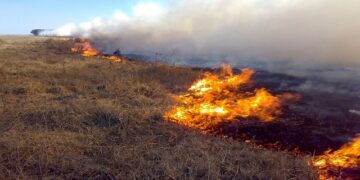 Una mujer murió tras sufrir graves quemaduras al intentar apagar un incendio en un campo de Corrientes