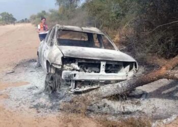 Iba al cementerio, lo atacaron las abejas, chocó y murió quemado