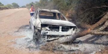 Iba al cementerio, lo atacaron las abejas, chocó y murió quemado
