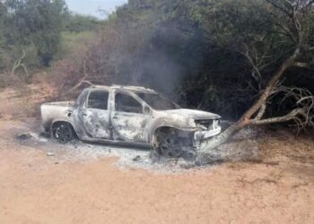 Iba al cementerio, lo atacaron las abejas, chocó y murió quemado
