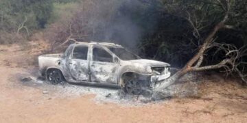 Iba al cementerio, lo atacaron las abejas, chocó y murió quemado