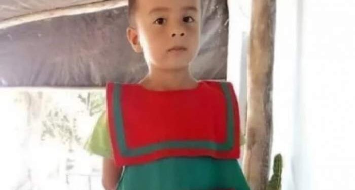 Caso Loan: la Cámara Federal prorrogó el plazo de investigación