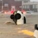 Inundaciones en Bahía Blanca: ya son seis las víctimas fatales