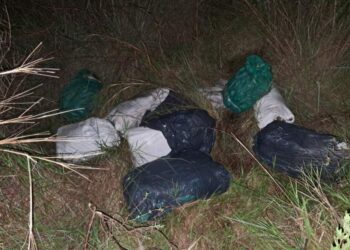 Incautaron más de 156 kilos de marihuana en la zona rural de Caa Catí