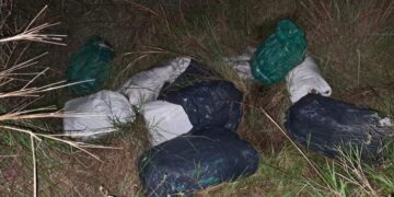 Incautaron más de 156 kilos de marihuana en la zona rural de Caa Catí
