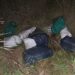 Incautaron más de 156 kilos de marihuana en la zona rural de Caa Catí