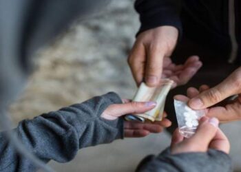 Narcomenudeo: en qué consiste el proyecto presentado por Valdés