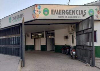 Murió una menor tras chocar en moto contra un perro