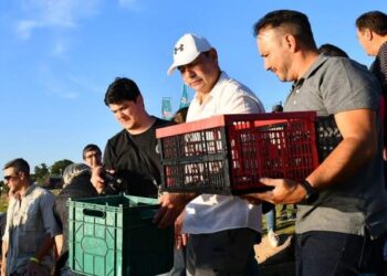 Fiesta del Surubí: Valdés encabezó la liberación de 5000 alevines en el Paraná