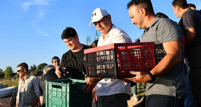 Fiesta del Surubí: Valdés encabezó la liberación de 5000 alevines en el Paraná