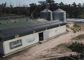Un molino correntino funciona con luz solar: “Ahorramos 40% de energía”