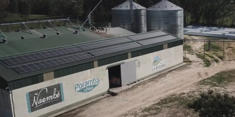 Un molino correntino funciona con luz solar: “Ahorramos 40% de energía”