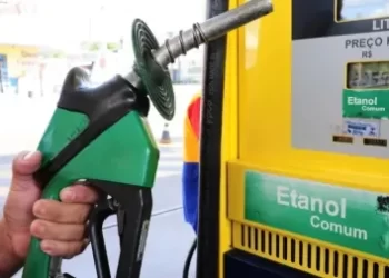 Autorizan un incremento en el precio de los biocombustibles para mayo