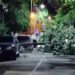 Postales de la noche del martes: un árbol caído y baja temperatura