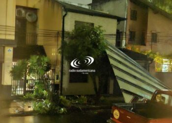 Temporal Corrientes: voladura de techos, caída árboles y cortes de luz