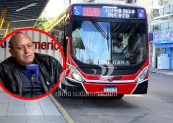 Paro de colectivos: “Todos los servicios están interrumpidos”